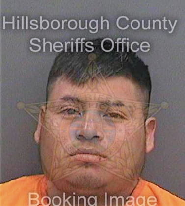 Mendezruiz Juan - Hillsborough County, FL 