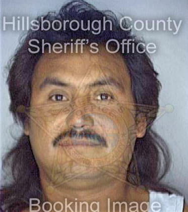 Sanchezsanchez Margarito - Hillsborough County, FL 