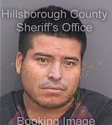 Perezrodriguez Uriel - Hillsborough County, FL 