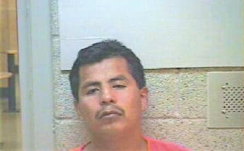 Andrade Patricio - Henderson County, KY 