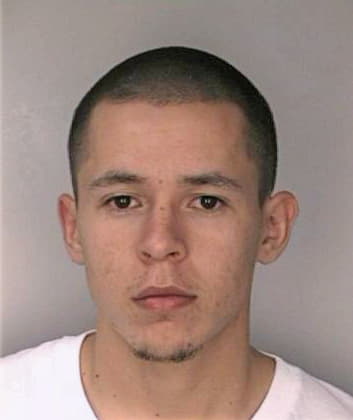 Botello Ivan - Hillsborough County, FL 