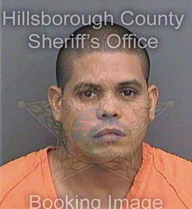 Chaviano Yoandy - Hillsborough County, FL 