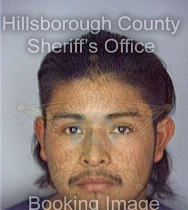 Martinezsolis Leonel - Hillsborough County, FL 