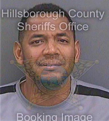 Pichardo Franklin - Hillsborough County, FL 