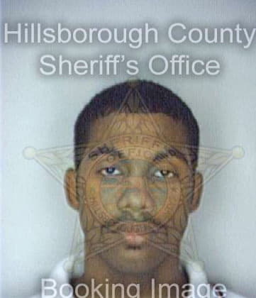 Medina Israel - Hillsborough County, FL 