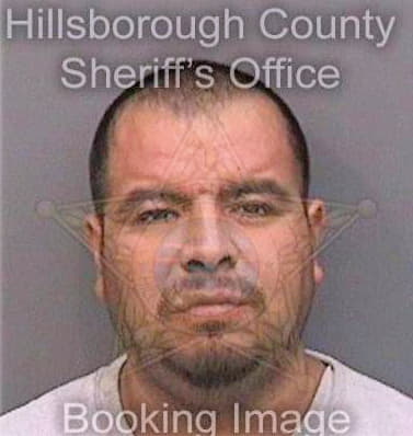 Peralesgomez Ezequiel - Hillsborough County, FL 