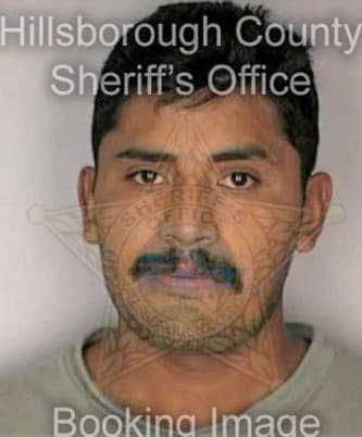 Fernandezdejesus Juan - Hillsborough County, FL 