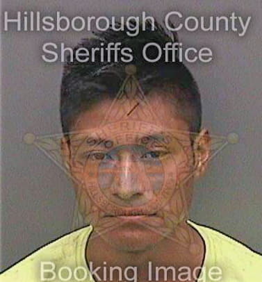 Diaz-Rodriguez Luis - Hillsborough County, FL 