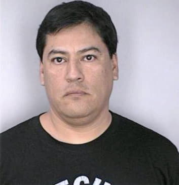 Medina Luis - Hillsborough County, FL 