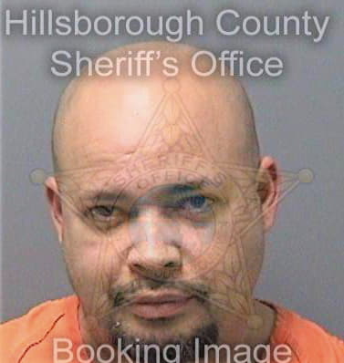 Vargas Norberto - Hillsborough County, FL 