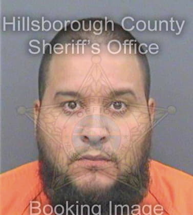 Velez Hector - Hillsborough County, FL 