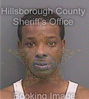 Davis James - Hillsborough County, FL 