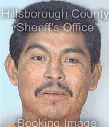 Hernandez Orlando - Hillsborough County, FL 