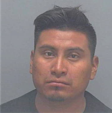 Sebastian Emilio - Lee County, FL 