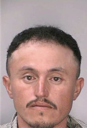 Mendosa Jose - Hillsborough County, FL 