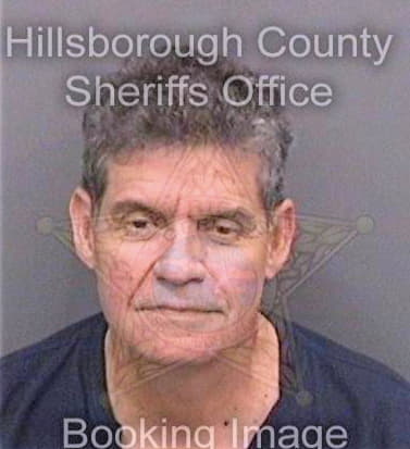 Sierravargas Alejandro - Hillsborough County, FL 