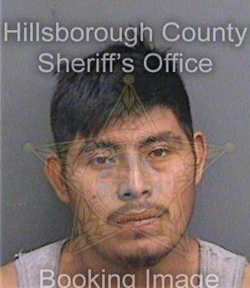 Shilonsantiz Miguel - Hillsborough County, FL 