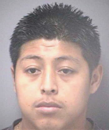 Maldonado Jose - Hillsborough County, FL 