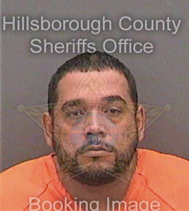 Vargasperez Julio - Hillsborough County, FL 