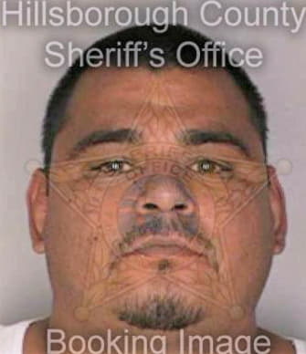 Bocanegra Telesford - Hillsborough County, FL 