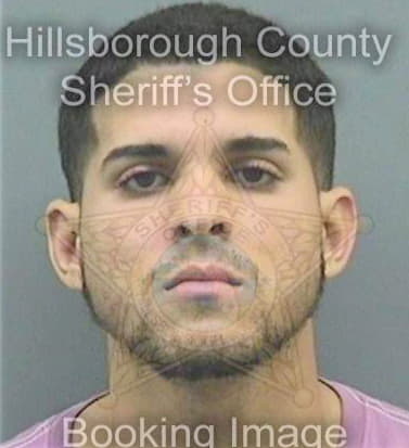 Soler David - Hillsborough County, FL 