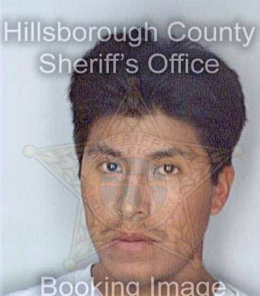 Ramirez Ramon - Hillsborough County, FL 