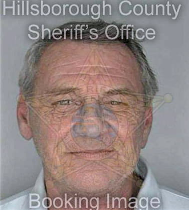 Mikowski Lawrence - Hillsborough County, FL 