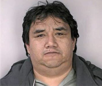Meza Francisco - Hillsborough County, FL 