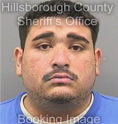 Sanchez Jose - Hillsborough County, FL 