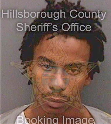 Troutman Solomon - Hillsborough County, FL 