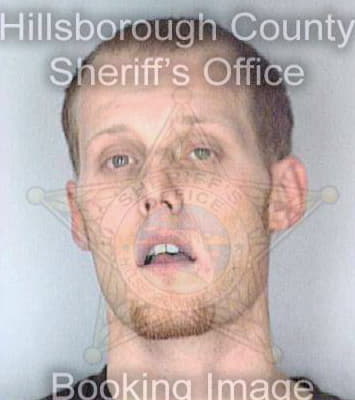 Haggstrom Christopher - Hillsborough County, FL 