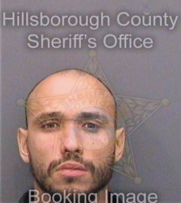 Santiago Erick - Hillsborough County, FL 