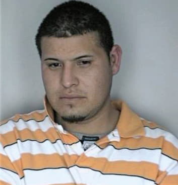 Ramirez Juan - Hillsborough County, FL 