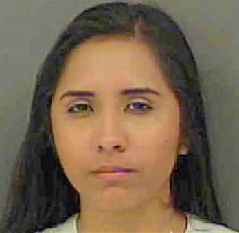 Silva Cinthia - Mecklenburg County, NC 