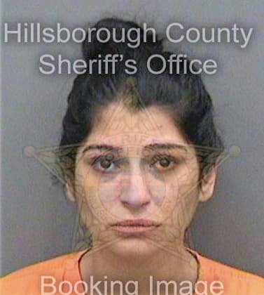 Gonzalezcuellar Lidiesky - Hillsborough County, FL 