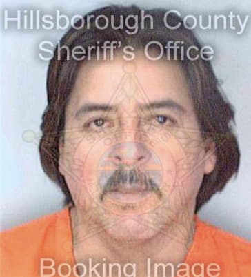 Reyes Gilberto - Hillsborough County, FL 