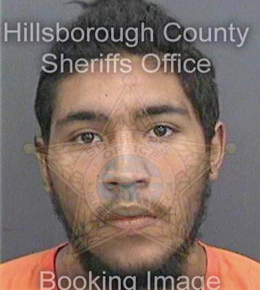 Vargas Deven - Hillsborough County, FL 