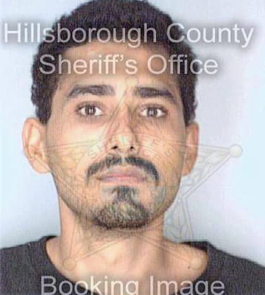 Santiago Eric - Hillsborough County, FL 