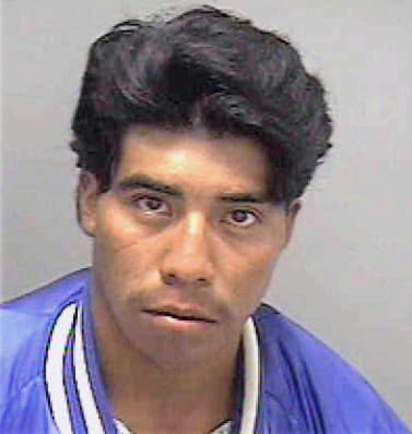 Velasquez Felipe - Lee County, FL 