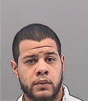 Ramirez Christopher - Hillsborough County, FL 