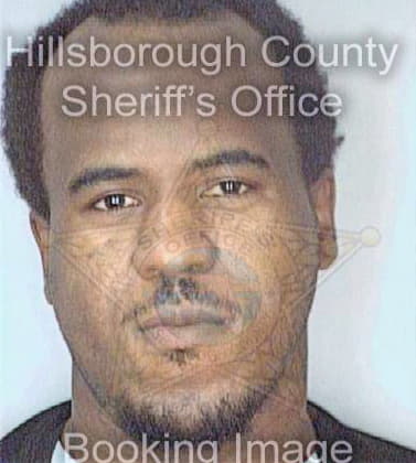 Mercer Frank - Hillsborough County, FL 