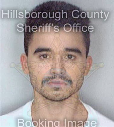 Garcia Miguel - Hillsborough County, FL 