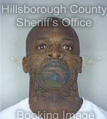 Ervin Eric - Hillsborough County, FL 