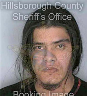 Gonzalez Rigoberto - Hillsborough County, FL 