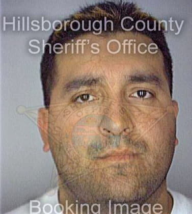 Silva Edward - Hillsborough County, FL 