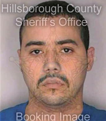 Santiago Carlos - Hillsborough County, FL 