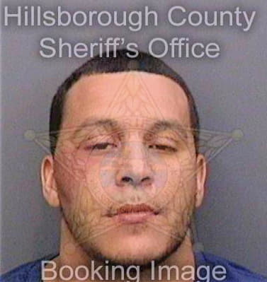 Garcia Christopher - Hillsborough County, FL 