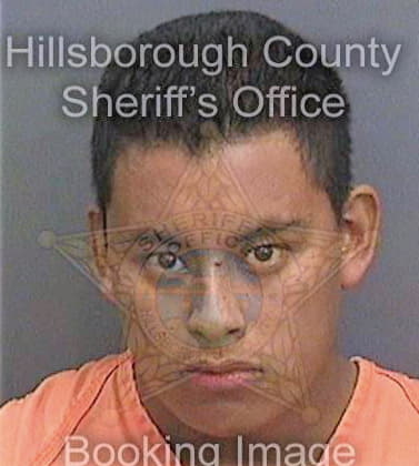 Limahernandez Hinmer - Hillsborough County, FL 