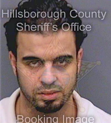 Dulemi Marwan - Hillsborough County, FL 