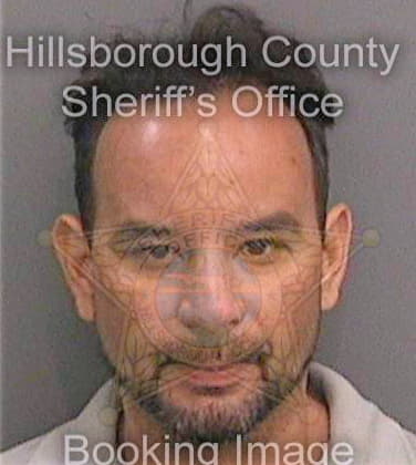 Mendoza Nicholas - Hillsborough County, FL 
